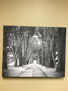 dirt road